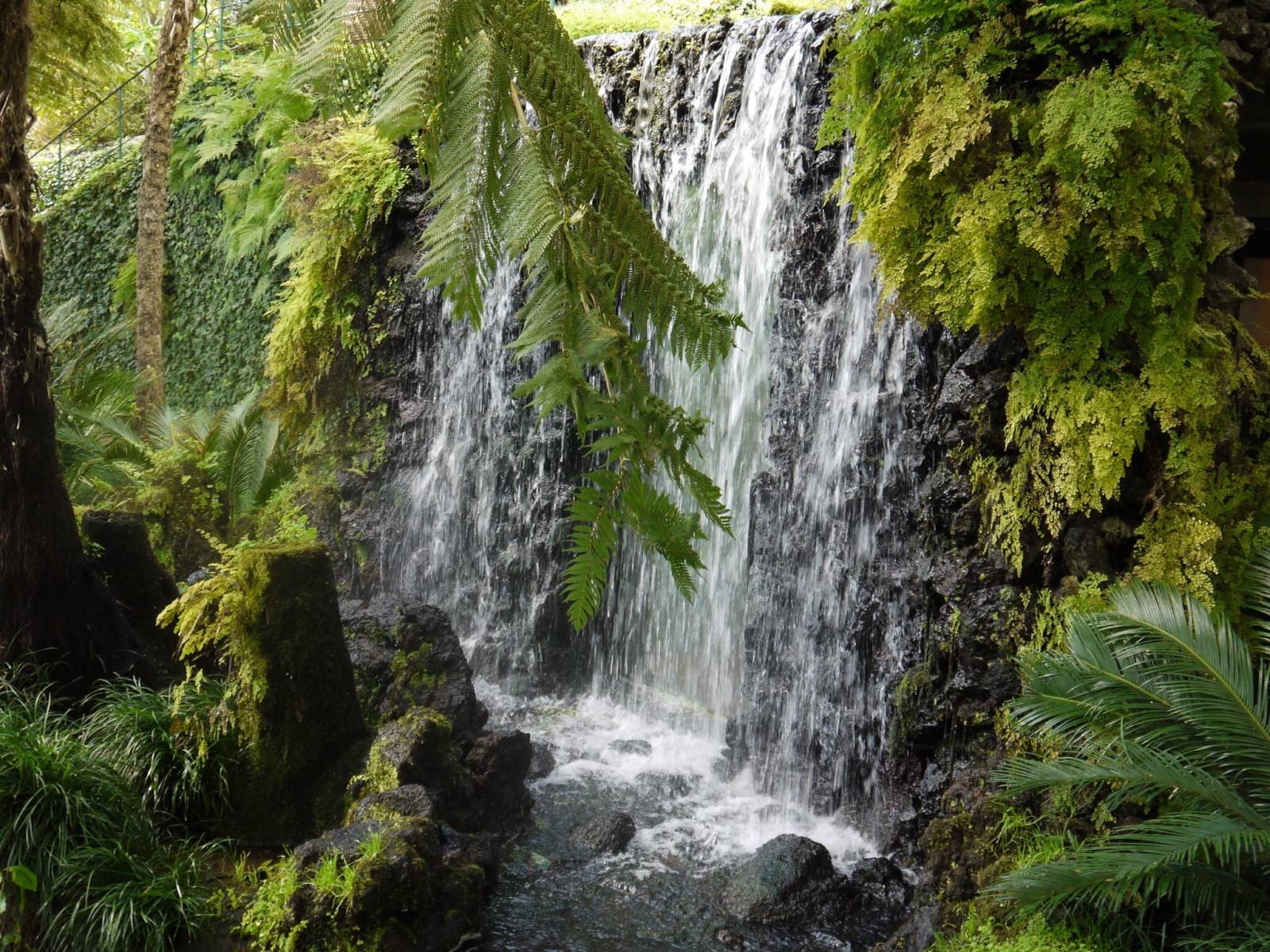 Levada de Rabaçal à Madère
