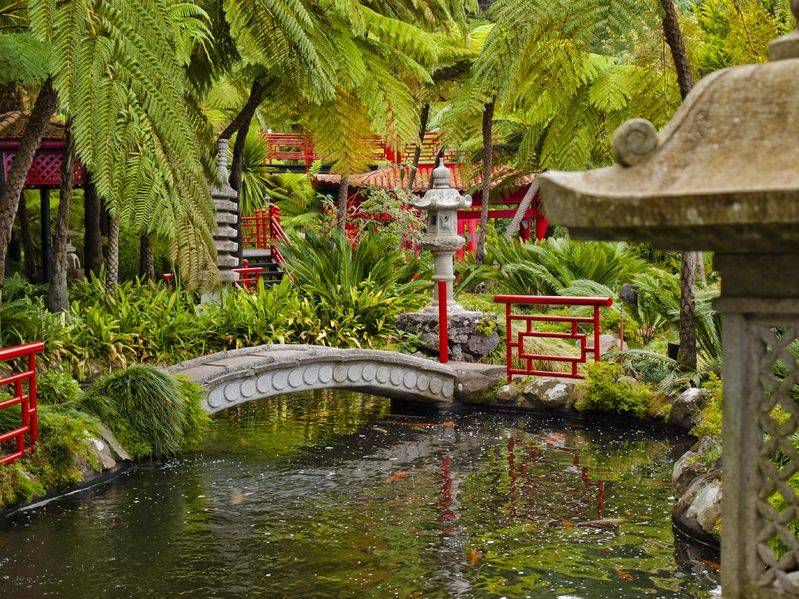 Jardin tropicale -madère