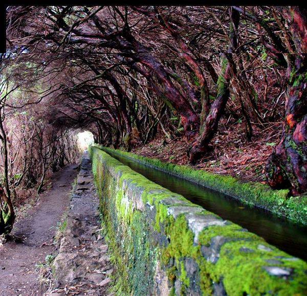 Levada-Madeira