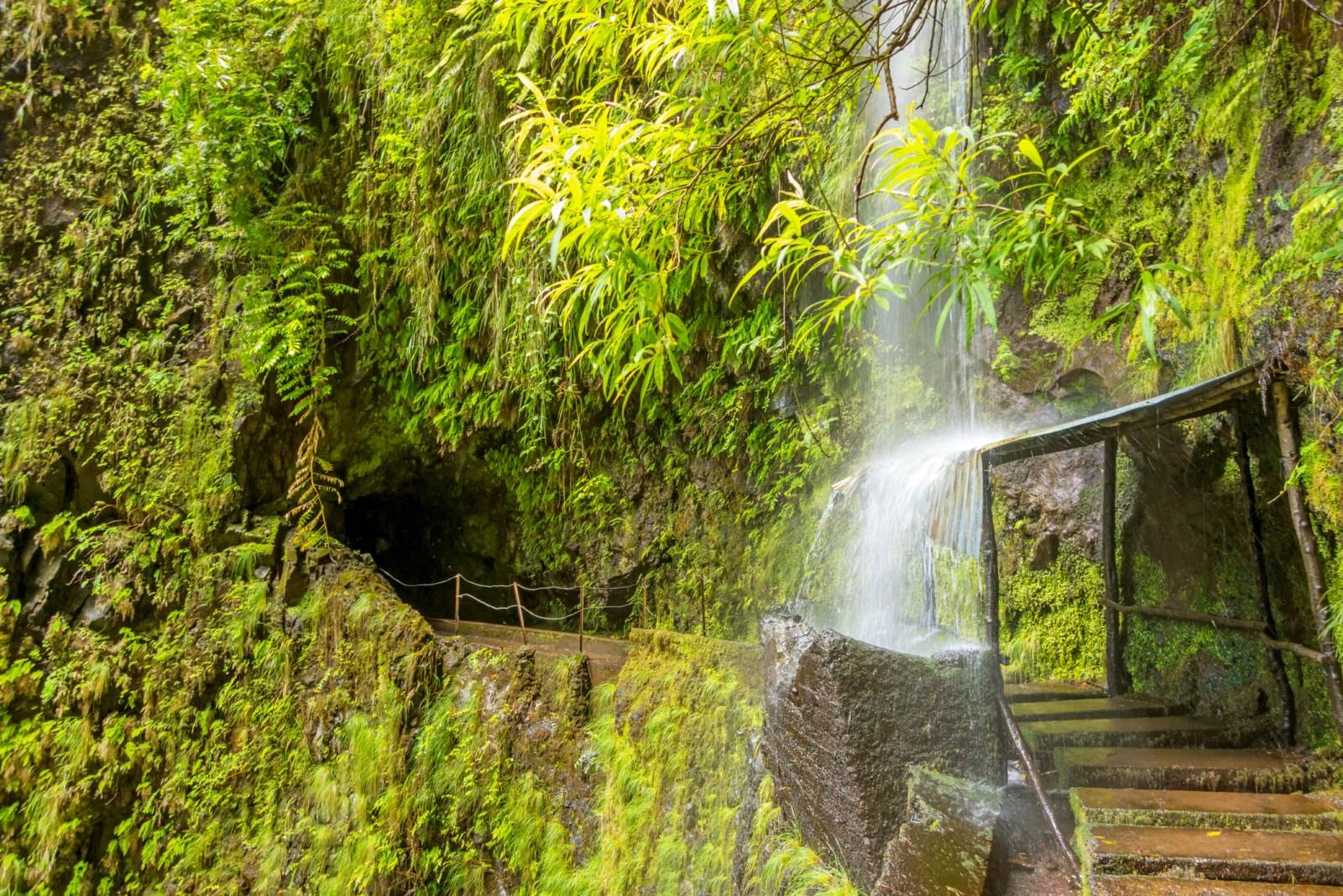Cascade levada de Caldeirão Verde, Madère, Portugal
