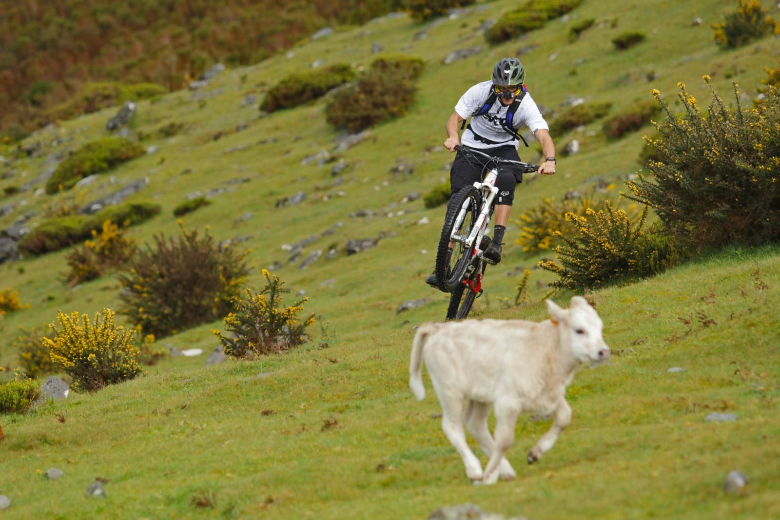 VTT au dessus de Calheta Madère