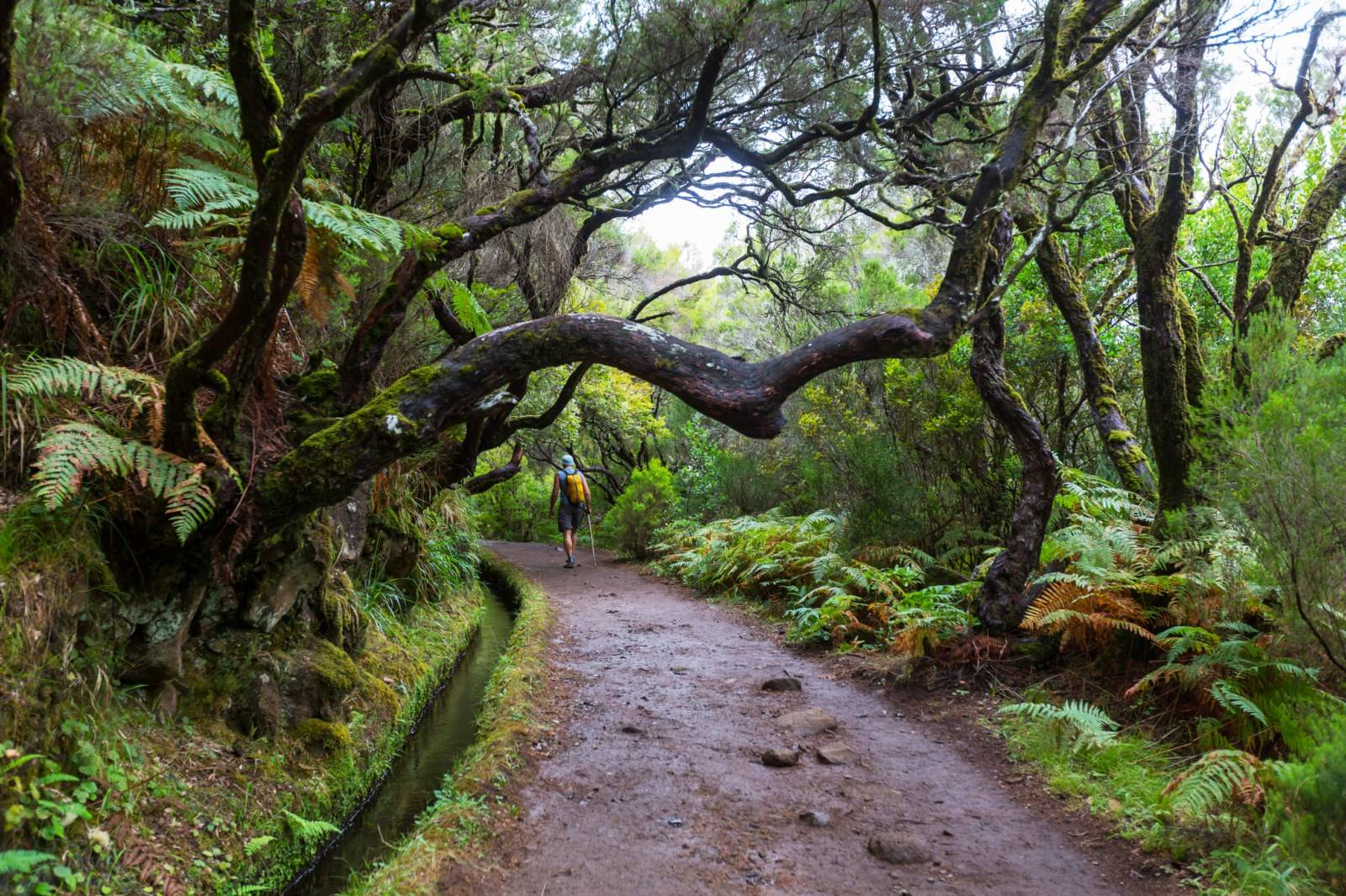 Levada de Rabaçal à Madère