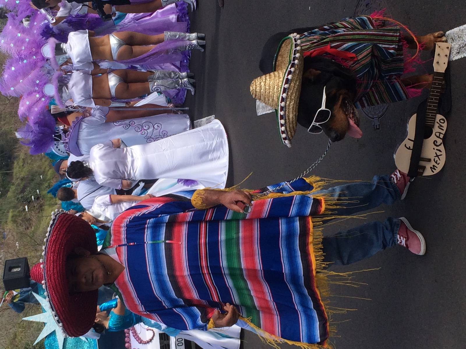 Voyage à la découverte des fêtes traditionnelles à Madère