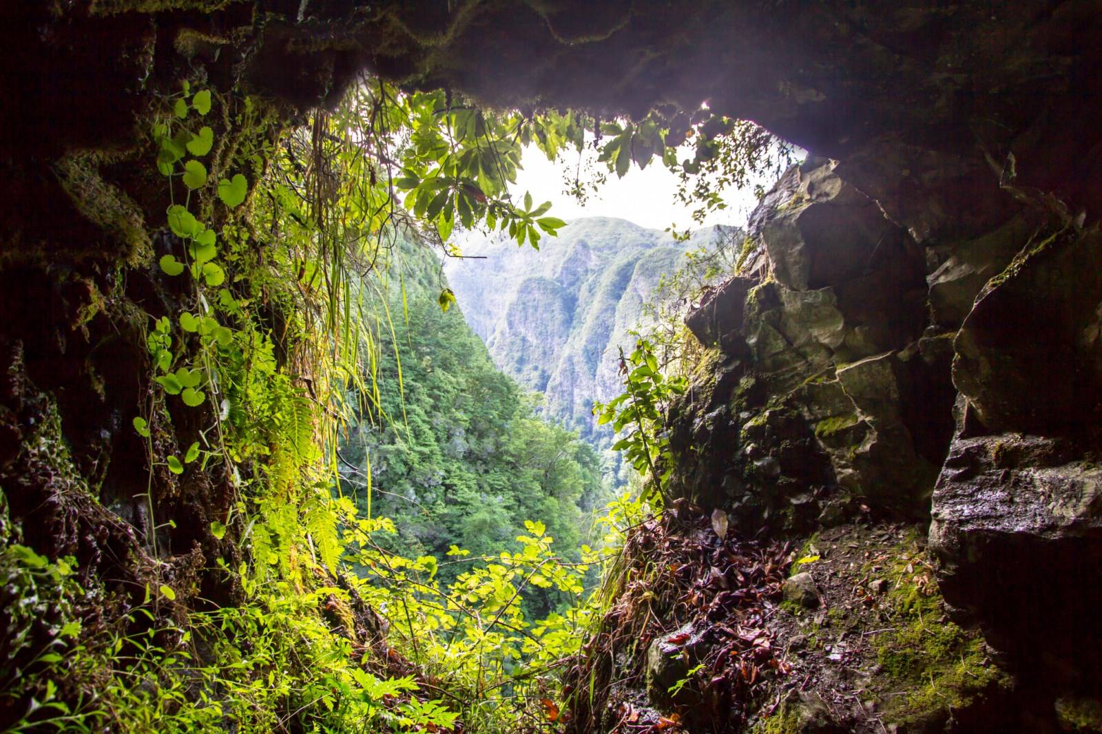 Ribeiro Frio à Madère
