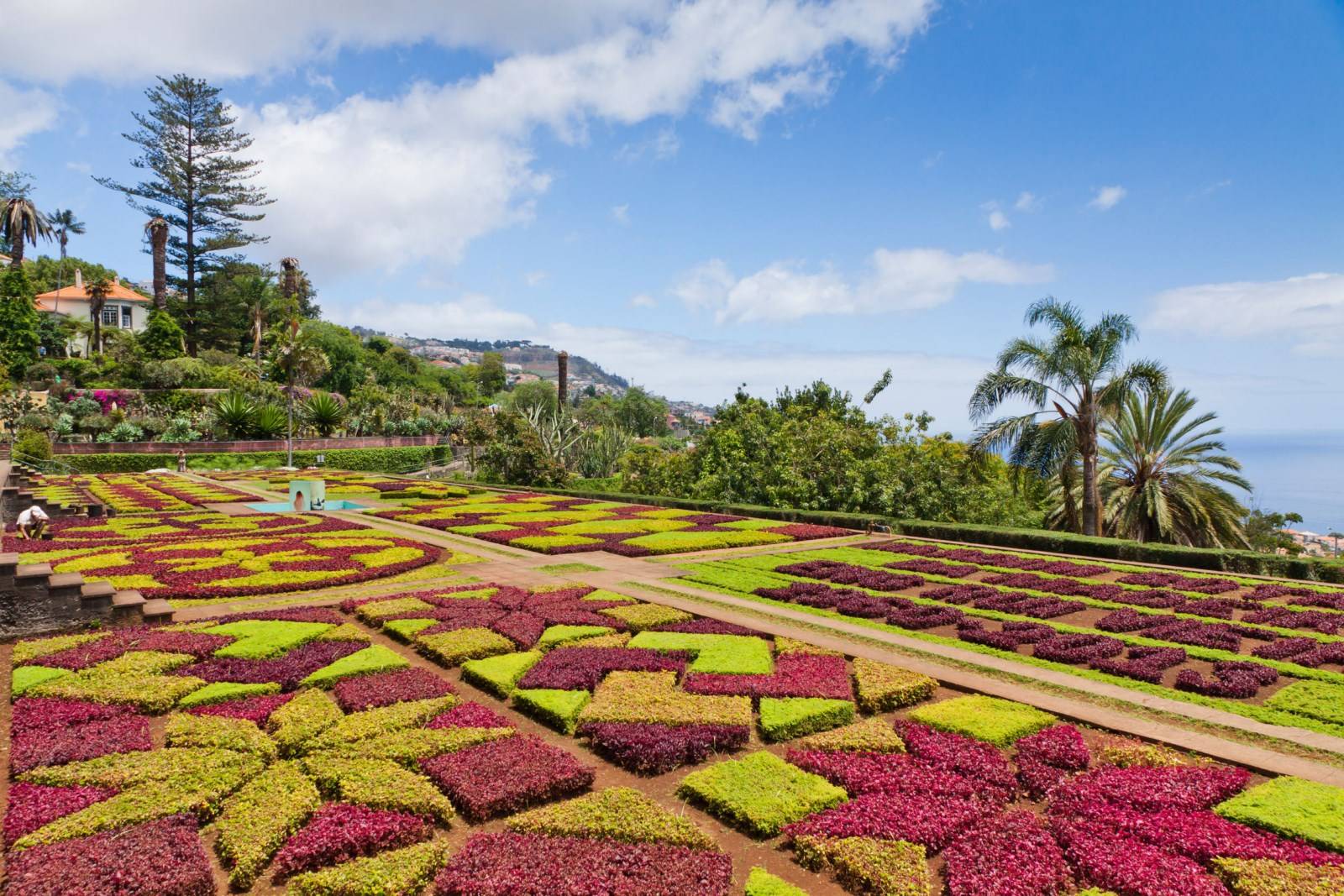 Jardin botanique Monte Madère Funchal