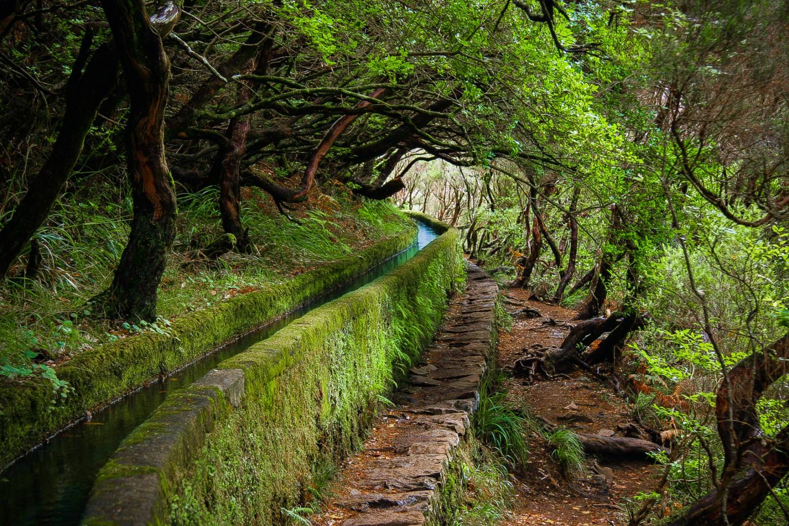 Levada de Rabaçal 25 fontaines Madère
