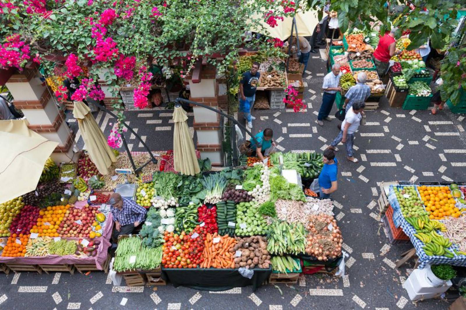 Découvrez l'incroyable variété des légumes exotiques à Madère lors de votre voyage accompagné ou en autotour
