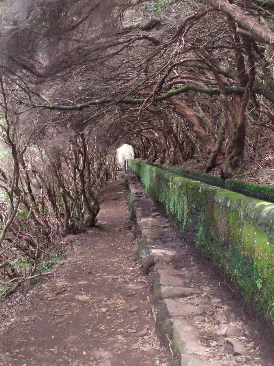Levada-Madère-Portugal