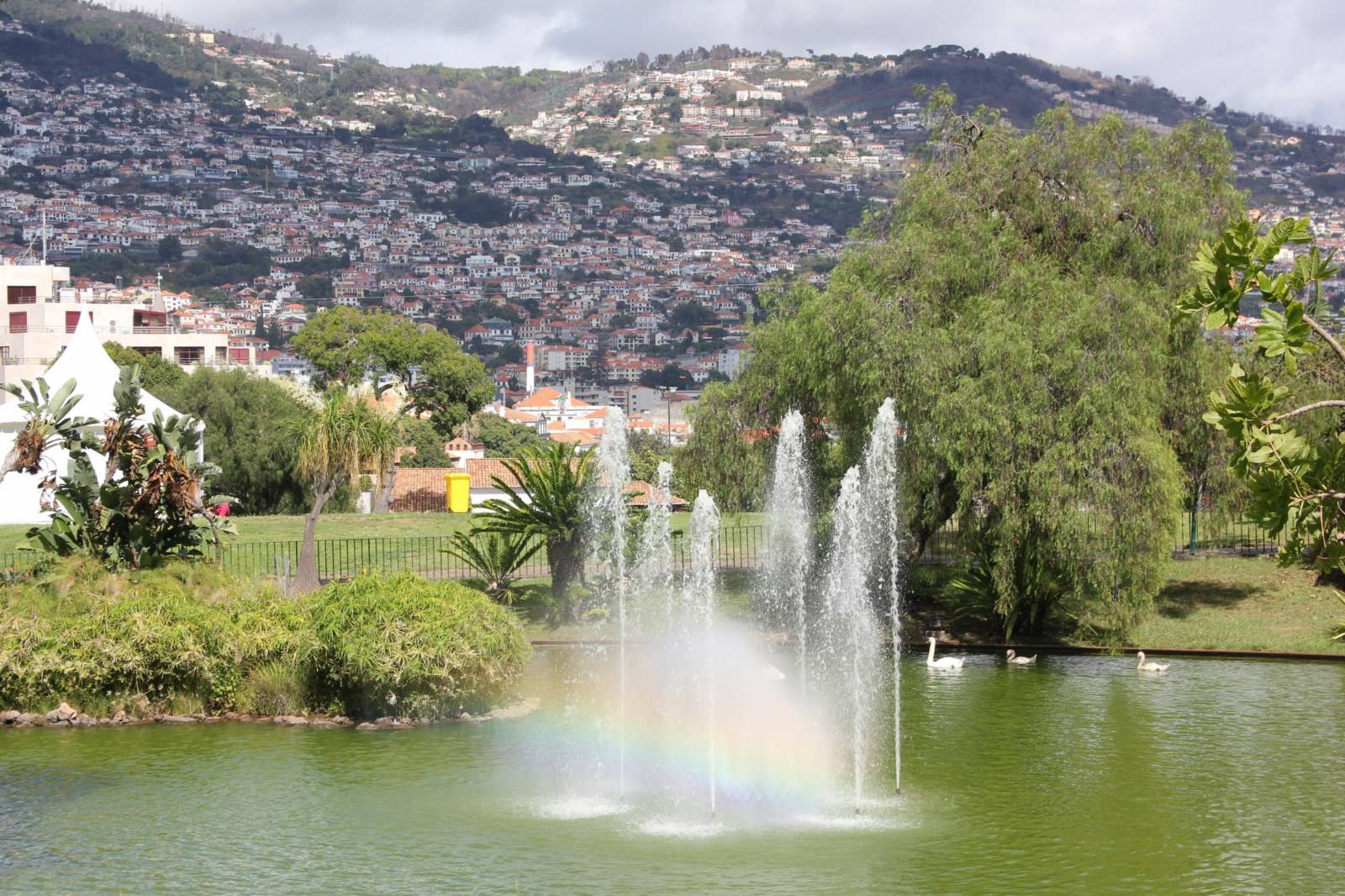 Parc Santa Catarina Quinta Vigia Madère