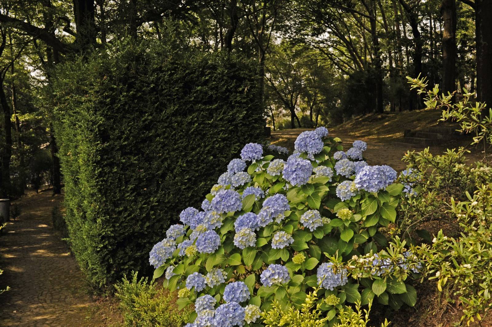 Quinta Palmeira Madère