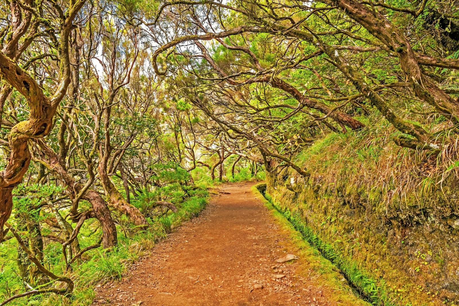 Rabaçal-Madère-Portugal