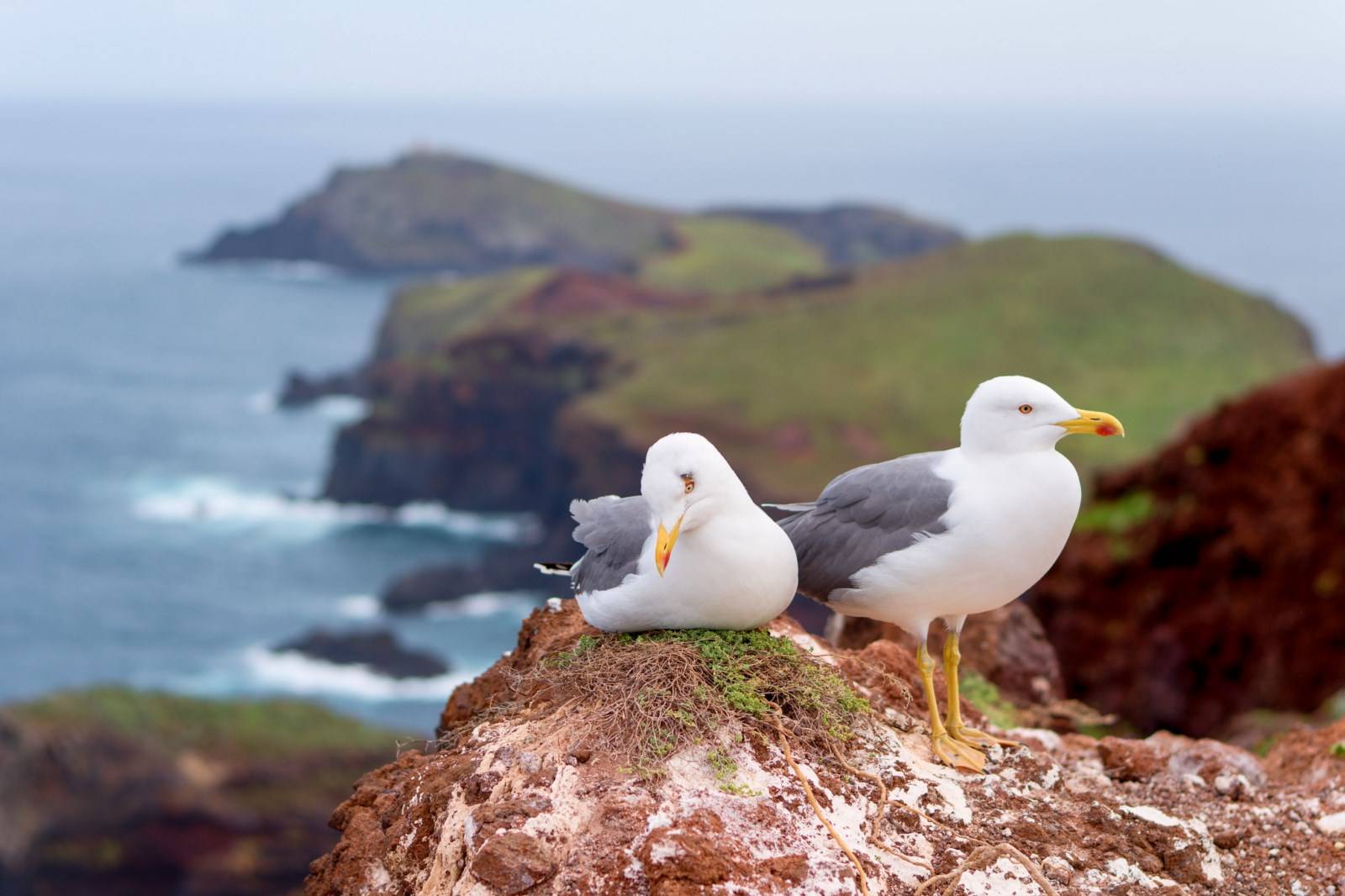 Pointe de São Lorenço Madère, Portugal