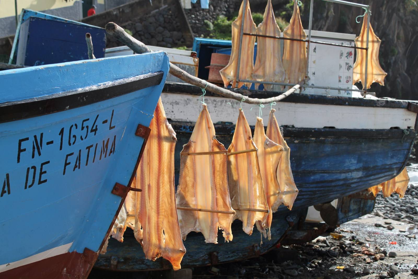 Pêche Madère