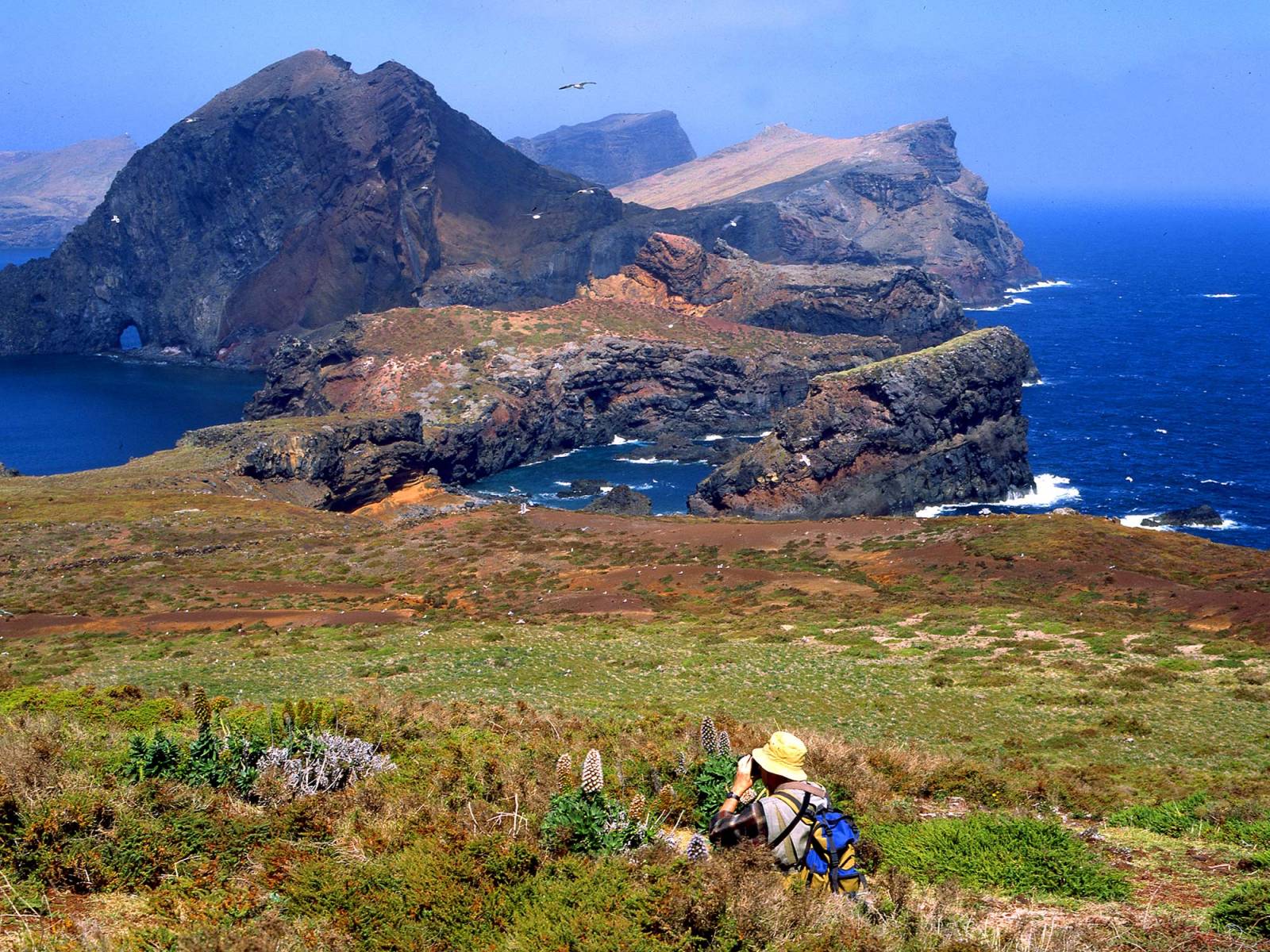 Pointe Sao Lorenço Madere