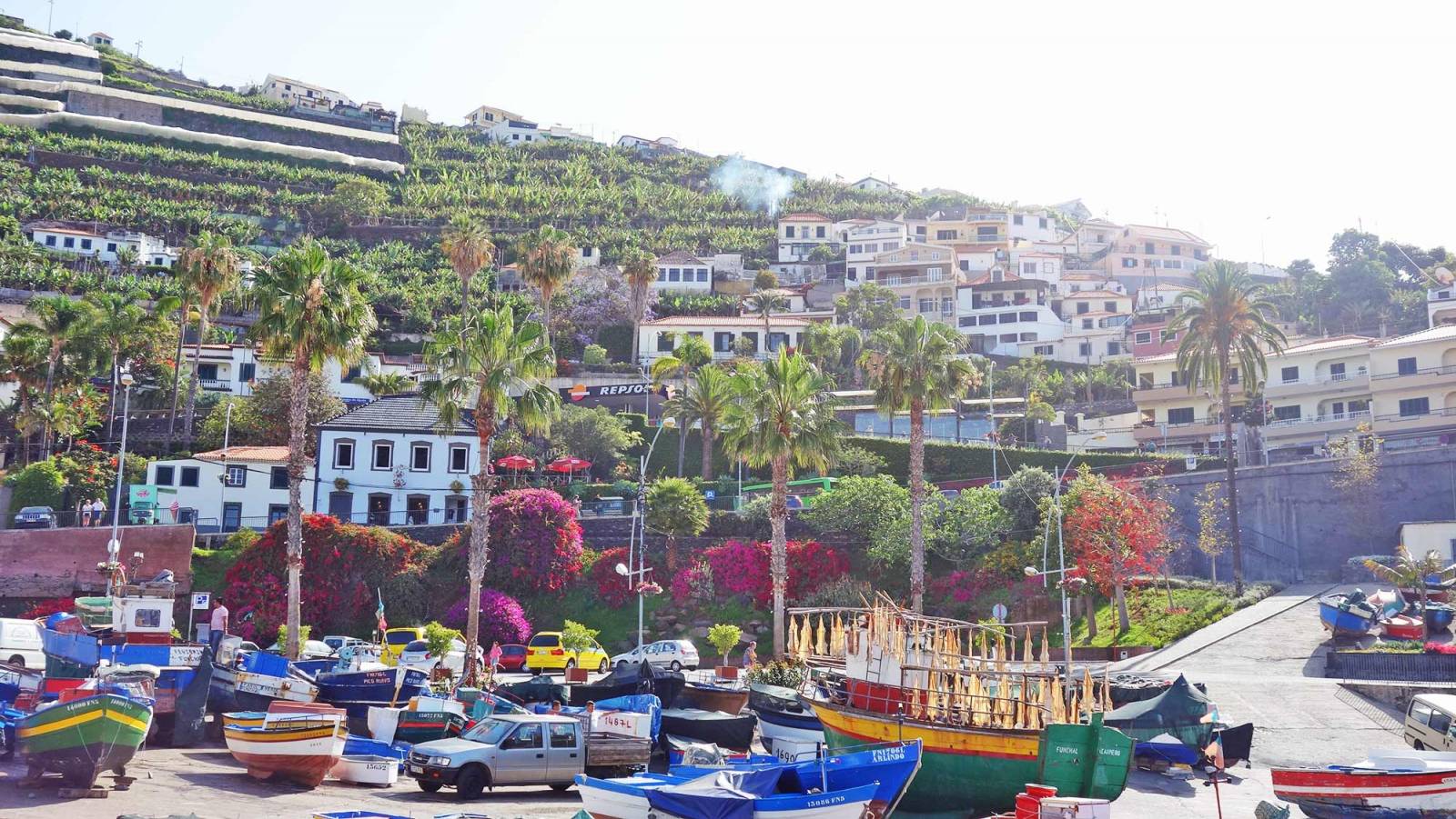 Camara dos Lobos Madère