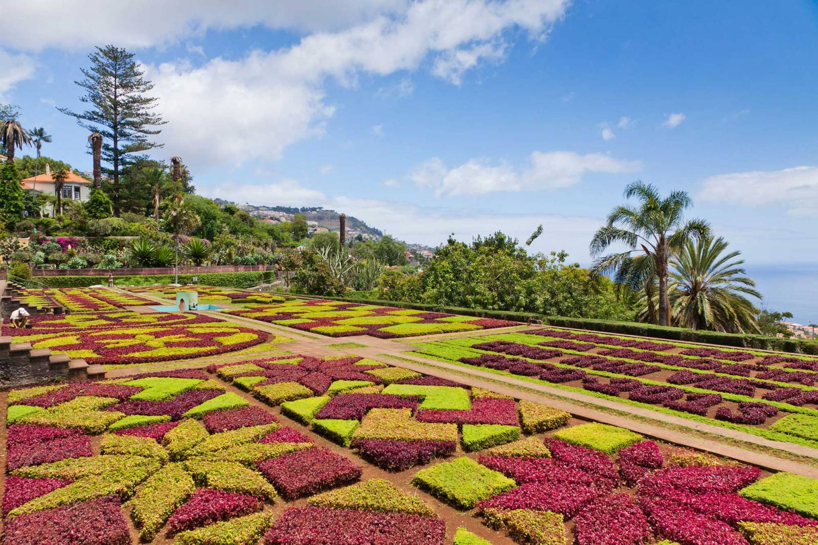 Jardin tropical à Funchal Madère