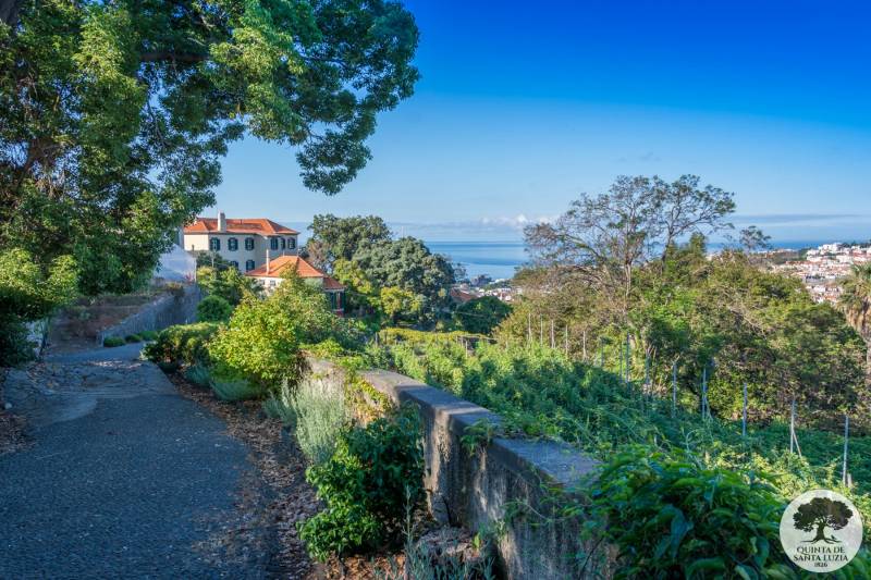 Quinta Santa Luzia Blandy's family