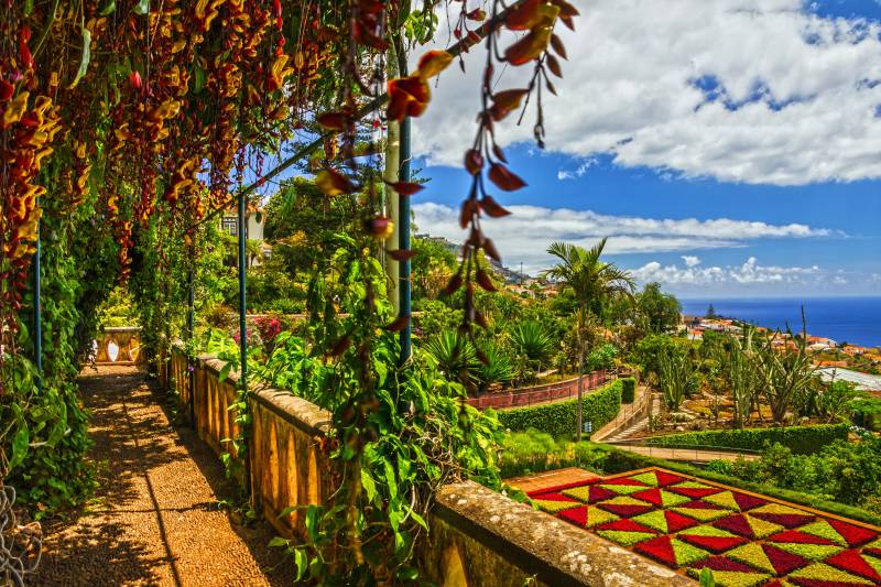 Jardin Botanique de Funchal 
