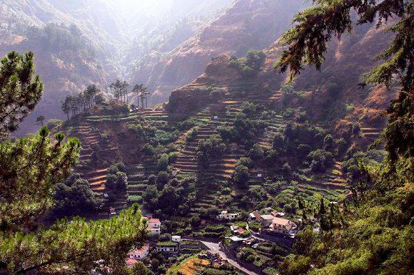terraces à madère, portugal