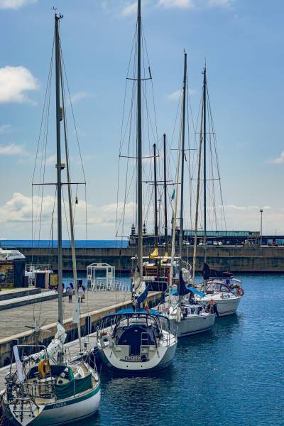 La Pêche à Madère